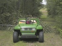 801827-gator & storm cleanup.jpg