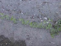685697-IMG_0926.jpg