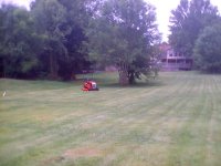 BX23 July mow 2005 002.jpg