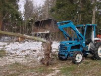 803057-skidding tongs.JPG