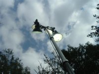 765467-lights 5.jpg