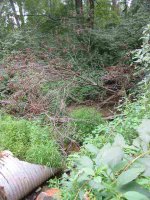 723027-creek6.JPG