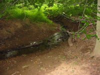 723032-creek2.JPG