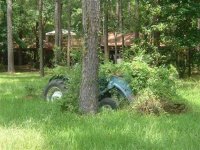 686423-ford 3.jpg