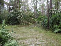 766065-driveway 2.JPG