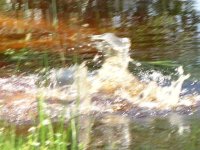 686579-RSCN0031 (Small).JPG