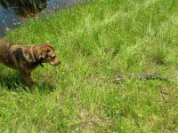 686584-RSCN0028 (Small) (Custom).JPG