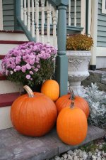 766139-Fall.jpg