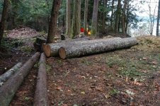766212-log deck.jpg