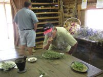 723406-oh them herbs (Small).jpg