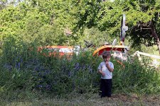 643639-Grass-height.jpg