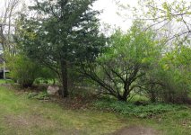 20170429_112233.jpg