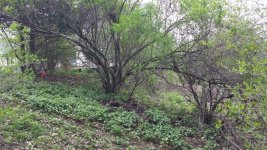 20170429_112402.jpg