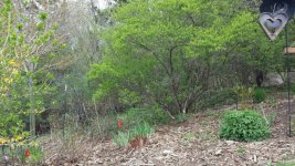 20170429_112440.jpg