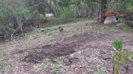 20170429_172831.jpg