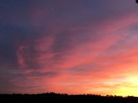 2017-5-24.jpg 2017-5-24.jpg