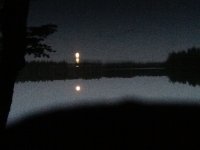 image.jpeg