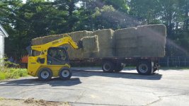 hay.jpg
