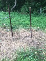 IMG_1193.JPG