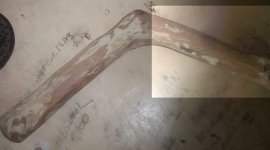 cane handle.jpg