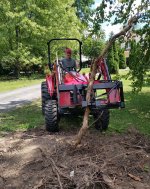 RootPull.jpg RootPull.jpg