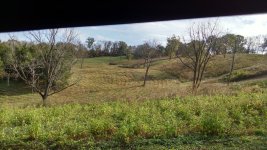 IMG_20161107_123336653_HDR (Large).jpg