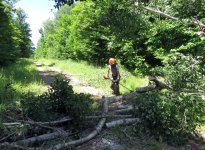 IMG_7164.jpg