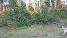 20170918_183150[1].jpg