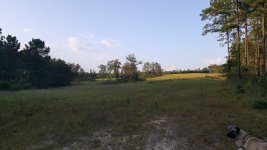 20170918_183220[1].jpg