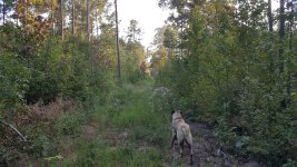 20170918_183917[1].jpg