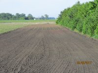IMG_6362.JPG