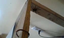 20170528_171454.jpg