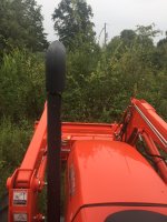 Tall_Brush.JPG