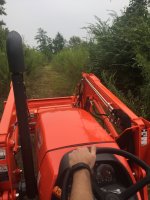 1st_mow.JPG