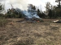 Brush_Burning.JPG