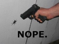 NOPE.jpg