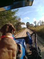 IMG_20171022_171702907.jpg