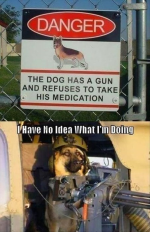 pups 2.png
