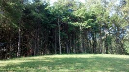 IMG_20170713_083114_898.jpg
