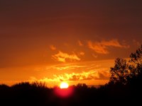 IMG_0235.JPG