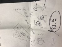 IMG_3784.jpeg
