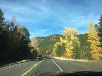 IMG_0098.jpg