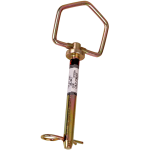 pin.png