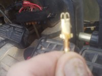 1106171420.jpg 1106171420.jpg