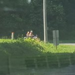 20170605_121338.jpg 20170605_121338.jpg