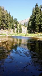 Lake Creek rd.jpg