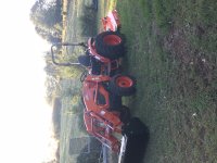 IMG_3682.jpeg