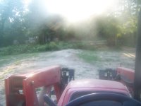 7-14-17 Tall Skinny Sweetgum Dug Down.jpg 7-14-17 Tall Skinny Sweetgum Dug Down.jpg