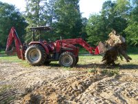7-14-17 Tall Skinny Sweetgum Root Ball.jpg
