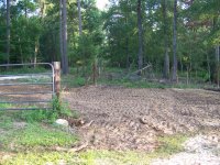 7-14-17 Back Dog Leg Corner Minus Sweetgum.jpg 7-14-17 Back Dog Leg Corner Minus Sweetgum.jpg